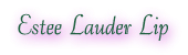 Estee Lauder Lipstick Lip Gloss at KeegansKorner.com